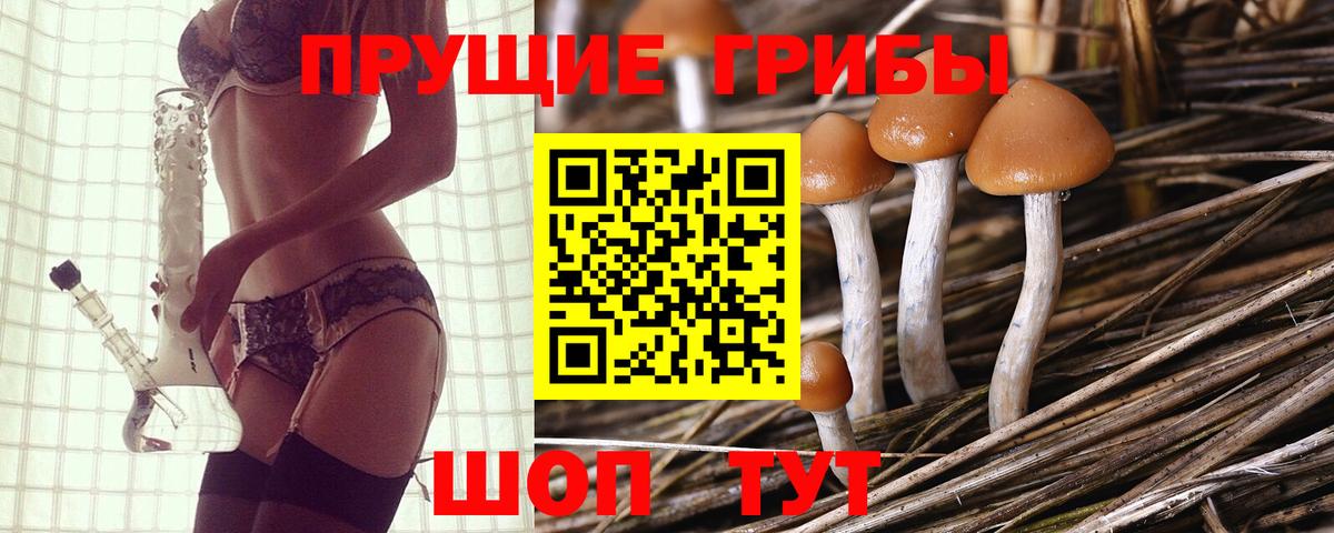 Похвистнево  дарнет шоп  Вход с VPN  Галлюциногенные грибы мухоморы 