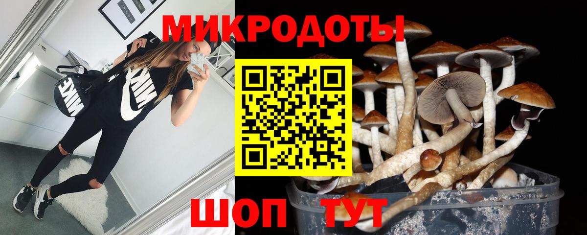 Псилоцибиновые грибы Cubensis Похвистнево